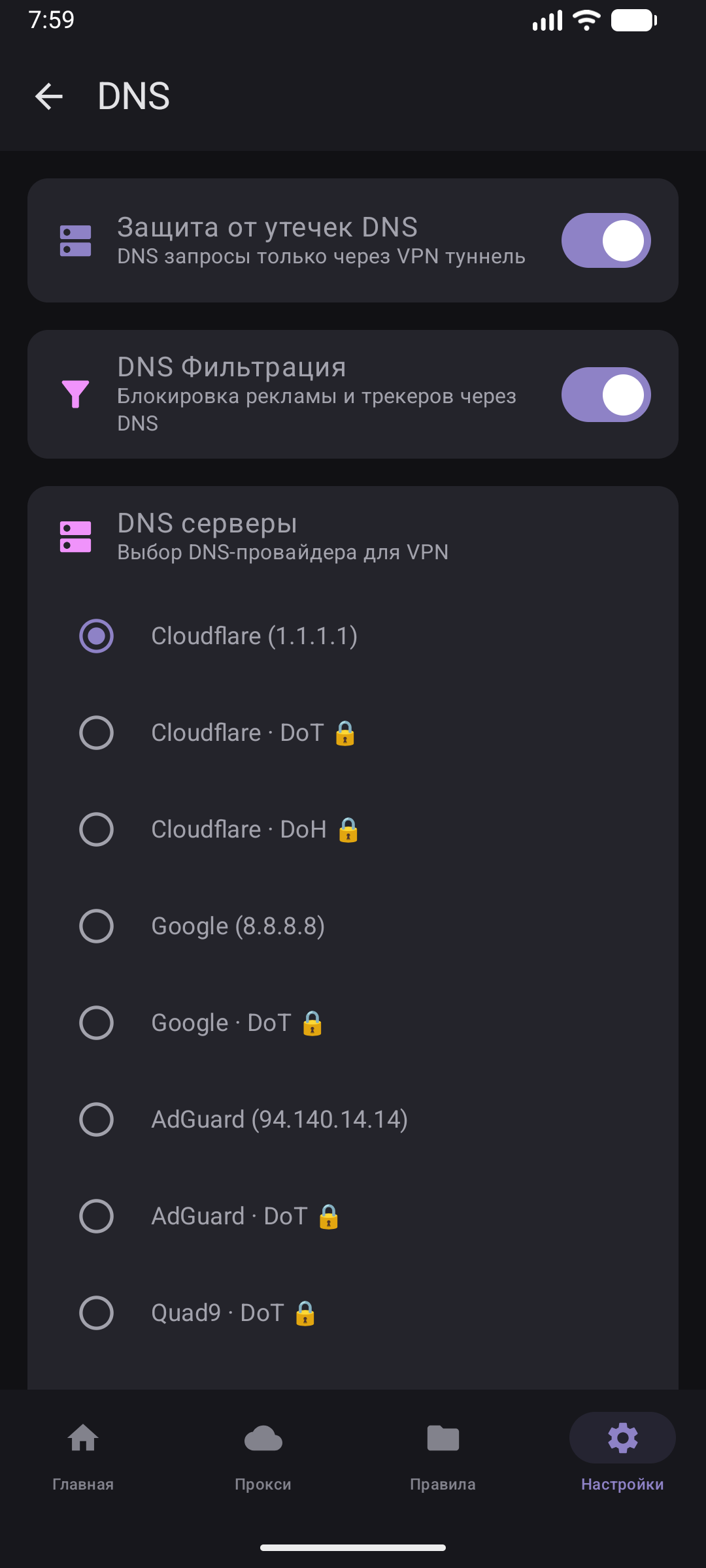 Фильтрация DNS в настройках приложения